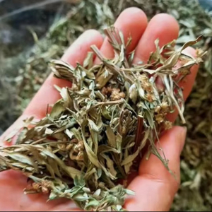 Hojas de Artemisa Secas Premium 100% Puras, Hojas Sueltas en Bolsa con Cierre de 4oz 200g, Hojas y Tallos Cortados, Vietnam Angle - Product Image 5