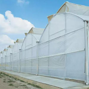 Serre tunnel agricole en acier galvanisé avec film plastique écologique pour la culture de tomates, laitues et poivrons - Product Image 6