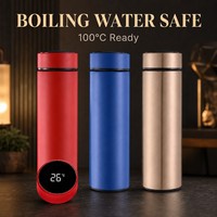 Bouteille isotherme intelligente en acier inoxydable de 500 ml avec affichage LED de la température, gourde portable, OEM ODM, vente en gros