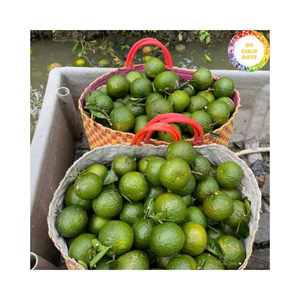 ผิวสีเขียวสดสีส้มจากเวียดนามวัสดุสุกเหมาะสำหรับขายปลีกสูตรการทำอาหารและการใช้น้ำผลไม้ - Product Image 5