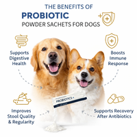 Poudre Probiotique Bio OEM pour Animaux de Compagnie – Soutien Digestif et Santé Intestinale pour Chiens et Chats – Complément en Friandises Tendres – Vente en Gros