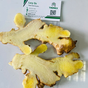 Nueva cosecha de jengibre fresco y joven al por mayor 2024/ Jengibre/ Zenzero-Suministro de jengibre fresco de Vietnam (WA: + 84362512699) - Product Image 1