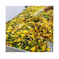 Frutas y verduras secas mezcladas de alta calidad, para aperitivos, precio competitivo de Vietnam