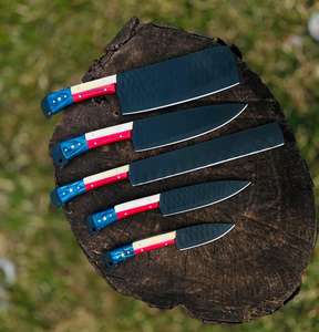 Ensemble de couteaux de chef 5 pièces en acier D2 fait main personnalisé, manche drapeau du Texas, étui en cuir fin, couteau à légumes écologique, manche en bois, OEM - Product Image 2
