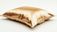 Conception personnalisée OEM 16-22 Momme 6A Grade taie d'oreiller en satin de soie turque élégante OEKO-TEX certifiée feuilles d'animaux oranges brodées