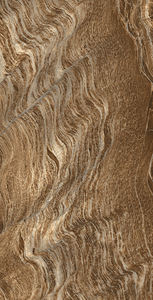 Homogenuos High Pixel conçoit des carreaux de porcelaine vitrifiés en Inde pour la grande villa de luxe. - Product Image 3