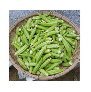 กระเจี๊ยบเวียดนามแช่แข็ง: แหล่งที่ดีที่สุดของคุณเพื่อสุขภาพที่มีคุณค่าทางโภชนาการ - Product Image 1