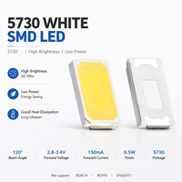 Puce LED SMD automobile 5730, 0,5W, diode LED blanche, éclairage de plaque d'immatriculation, lampe de plaque d'immatriculation, 5500K-6500K, angle de faisceau 120°