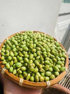 Haricots Mungo Séchés Entiers Délicieux, Richesse Végétale Traditionnelle, Saveur Vietnamienne, Marque VietFargimex, Durée de Conservation 12 Mois - Product Image 4