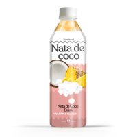 Vietnamese leverancier van heerlijk smakende Nata de Coco drank in 500ml PET fles, private label fruit- en groentesap, HACCP/ISO/HALAL gecertificeerd.