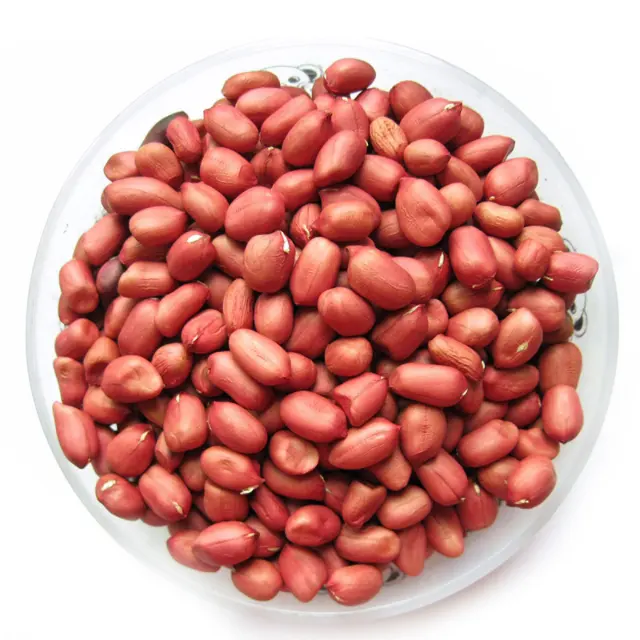 Top Quality Secas Nova Colheita Amendoim Kernel Amendoim Raw Groundnuts Preço Barato