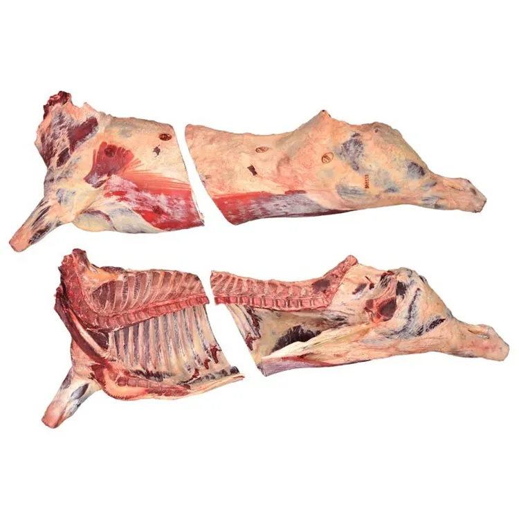 Box Packaging Body FROZEN Carcass Frozen Beef Certified Beef Meat/Brazilian Halal Frozen Beef