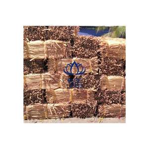 PRODUCTO JACINTO DE AGUA SECA MEJOR PRECIO EN VIET NAM MATERIAL HECHO EN VIET NAM FORMA BLUE LOTUS FARM VIET NAM - Product Image 1