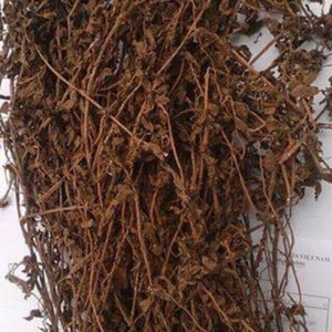 All Natural <b>Dried</b> Mesona Chinensis Benth Leaves for Homemade <b>Grass</b> Jelly - Product Image 5