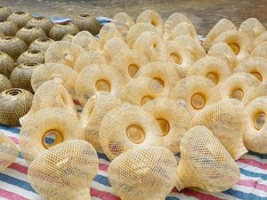 Artículos calientes Pantalla de bambú de ratán Lámpara colgante de bambú natural para la decoración del hotel de la cocina del hogar - Product Image 4