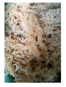 Algues Eucheuma Cottonii de qualité supérieure du Vietnam-Algues Eucheuma Cottonii séchées de haute qualité Wildcraft Purple Seaweed - Product Image 2