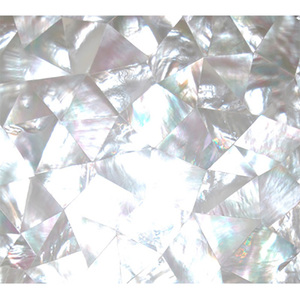 Mosaico de Incrustaciones de Azulejos Blancos de Nácar, Incrustaciones de Conchas Marinas, Joyería de Conchas, Motivo de Concha Labial, Mosaico de Nácar - Product Image 1