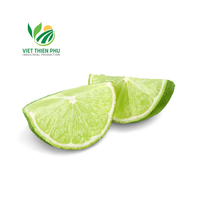 VTP VIETNAM ZAADLOZE VERSE GROENE CITROEN 5cm 100% NATUURLIJK VOORDELIGE PRIJS
