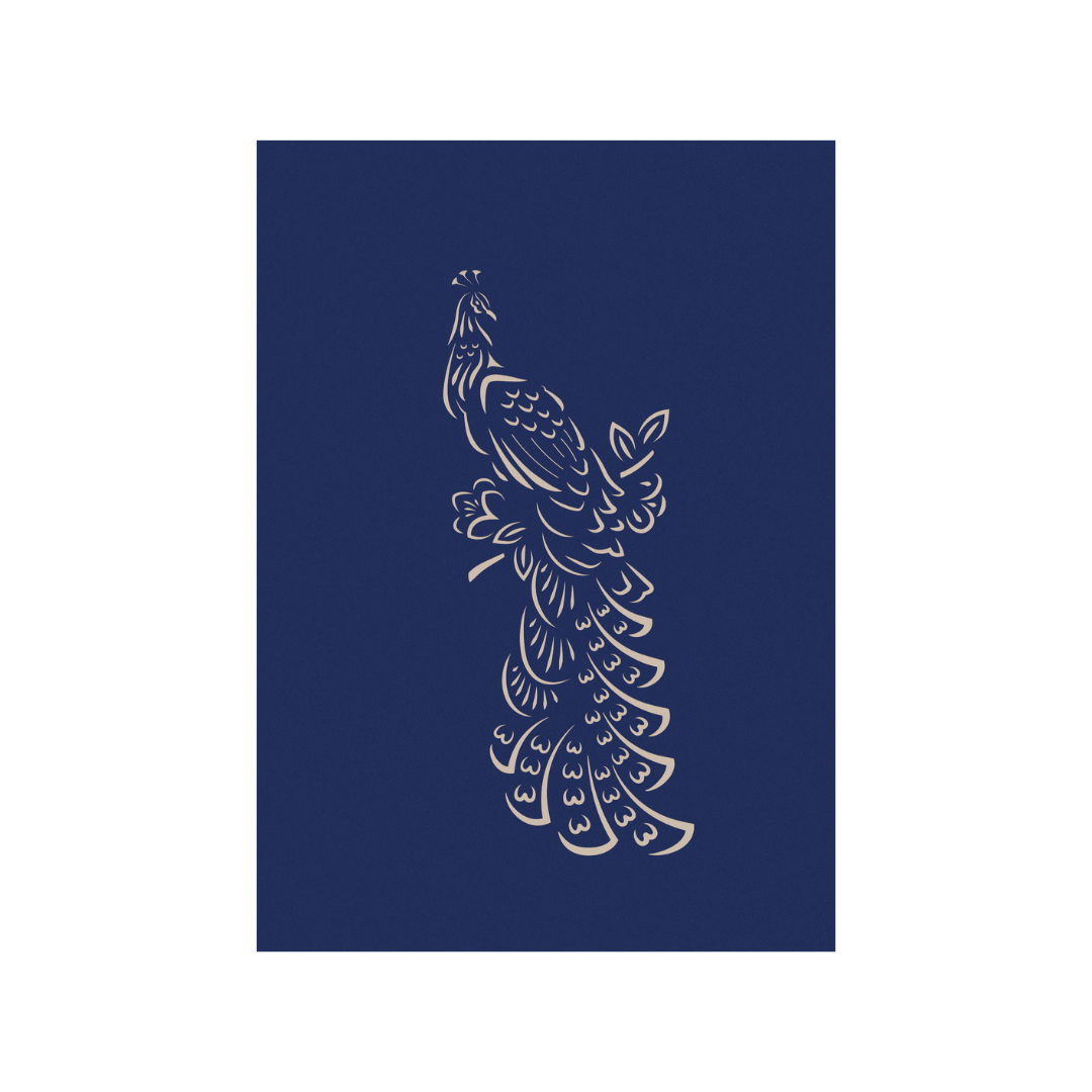 กองทัพเรือ