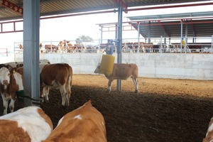 แปรงขัดตัวสัตว์ SAYGINLAR สำหรับวัว ใช้ในรถบ้าน รุ่นใหม่ AF1-HK46G - Product Image 3