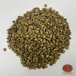 Grains de café Arabica du Vietnam, processus naturel, propres, non torréfiés, pour torréfacteurs professionnels, prix de gros, service OEM/ODM - Product Image 2