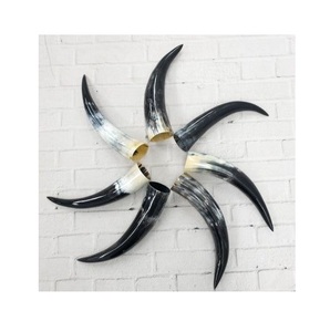 Cuerno vikingo para beber-Hecho a mano rústico auténtico Guerrero Medieval jarra cáliz crudo tallado Natural tradicional nórdico Mead Love - Product Image 2