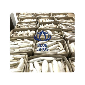 กระดูกปลาหมึกขายดี สำหรับการดูแลปากนก และแร่ธาตุออร์แกนิกบริสุทธิ์ สำหรับผู้ค้าปลีกสัตว์เลี้ยงขนาดเล็กที่ต้องการความยั่งยืน - Product Image 1