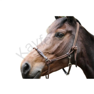Ethologic <b>Rope</b> and Leather Training <b>Halter</b> with Adjustable Noseband and Reduced Poll Pressure Design - Product Image 1
