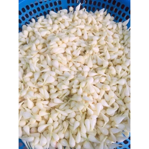 Puerros encurtidos de primera calidad/perfectamente conservados/sabor fresco/hechos en Vietnam - Product Image 6