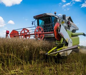 Cosechadora de Arroz de Alta Eficiencia con Motor y Transmisión por Engranajes para la Agricultura Moderna de Campos de Arroz - Product Image 6