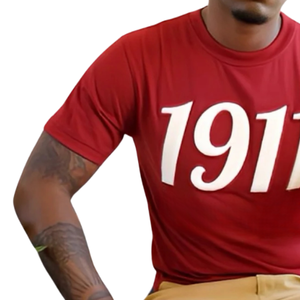 Chenille T-shirt Marron Coton KAP Grec Fraternité Vêtements Brodé Avant Collegiate Style Premium Casual Tee - Product Image 6