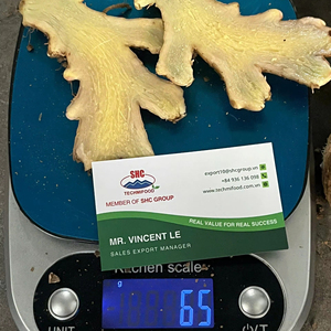 Productor y Exportador de Jengibre de Vietnam que Suministra Raíces de Jengibre Frescas y Lavadas para Compradores Globales B2B - Product Image 1