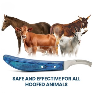 Cuchillos de Acero Inoxidable J2 de Alta Calidad para Veterinaria, con Logotipo Personalizado, para Herradores, para Recortar Cascos de Caballos, Sambrialmed - Product Image 4