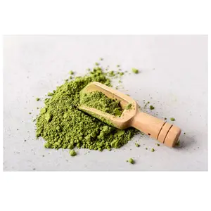 Estratto di polvere di foglie di Moringa sfuso di alta qualità in polvere di foglie di Moringa puro biologico in vendita