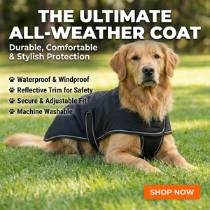เสื้อโค้ทสุนัขสีดำ แถบสะท้อนแสง สายรัดปรับได้ พับเก็บได้ น้ำหนักเบา ทนทาน เสื้อแจ็คเก็ตสัตว์เลี้ยงสำหรับฤดูหนาว เดินเล่นกลางแจ้ง สวมใส่สบาย - Product Image 4