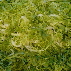 Chicorée à feuilles amères la plus vendue: légumes de qualité supérieure du fournisseur en gros - Product Image 4