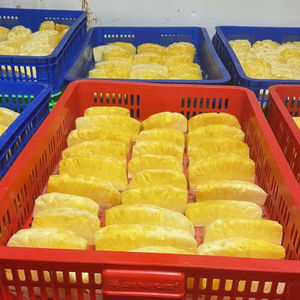 เวียดนามสับปะรดแช่แข็ง | ปอกเปลือกและตัด | ส่งออกขายส่ง - Product Image 1