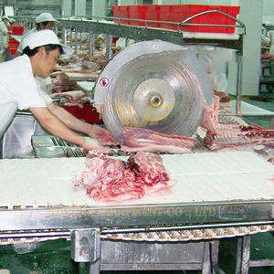 Оборудование для убоя свиней - Product Image 3