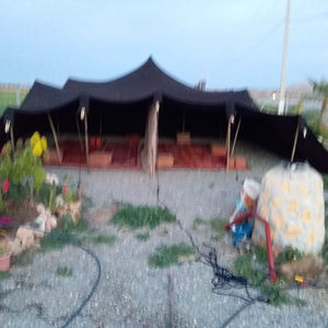 Tentes en poils de chèvre du Sahara, abris nomades traditionnels du désert, adaptés au climat, à la culture et à la vie durable en Afrique du Nord - Product Image 2