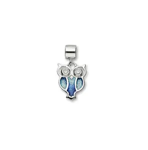 Ortak 925 Sterling Silver Scottish Charm Owl Design Hot Glass Enamel Two-Toned Enamel Jewellery of Scotland for Women EC 5