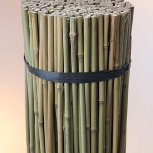 2025 Hot Seller! Eco2go Vietnam's Natural Bamboo Stakes Canes <b>Garden</b> Stake with Branch <b>for</b> Plant Eco-Friendly <b>Pole</b> Design - Product Image 5