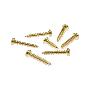 Orthopedisch Implantaat Schroef Corticale Cortex Schroeven 3.5Mm Fragment Botschroeven Voor Orthopedische En Veterinaire Implantaten Medic Instrument - Product Image 6
