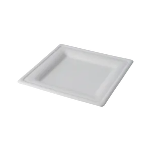 Plato Desechable Cuadrado de 8 Pulgadas - Product Image 1