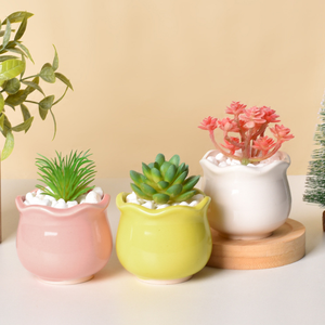 Mini 6 Picecs juego de macetas <span class=keywords><strong>suculentas</strong></span> de cerámica lindo escritorio interior balcón <span class=keywords><strong>Cactus</strong></span> maceta porcelana creativa decoración del hogar venta Flash - Product Image 4