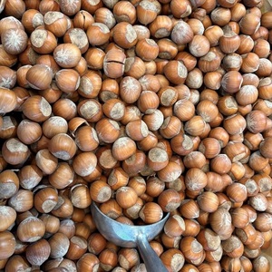 Avellanas sin Cáscara 11-13mm - Calibradas para Procesamiento de Alimentos |   Avellanas Naturales, Cosecha de Nueva Temporada, Suministro a Granel, 99.5% de Pureza - Product Image 1