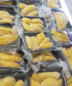 Premium Bulk Frozen IQF Vacuum Pack Dehydrated <b>Ginger</b> Vegetable Powder From Vietnam - Product Image 6