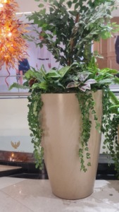 Maceta FRP Rectangular Simple clásica de moda 2022, nuevo marco Rectangular grande de fibra de vidrio para el hogar, Hotel, centro comercial, guardería, jardín - Product Image 2