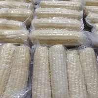 Vietnam surgelés Bap Nep maïs collant en vrac pour l'exportation
