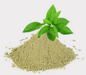 Extracto de Andrographis Paniculata Natural a Granel de Fábrica, Polvo de Extracto de Andrographis Paniculata, Extracto de Kalmegh - Product Image 4