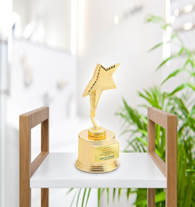 Trophée en métal de qualité supérieure, très demandé, trophée sportif en aluminium, approvisionnement mondial pour la reconnaissance des réalisations sportives 2025 - Product Image 6